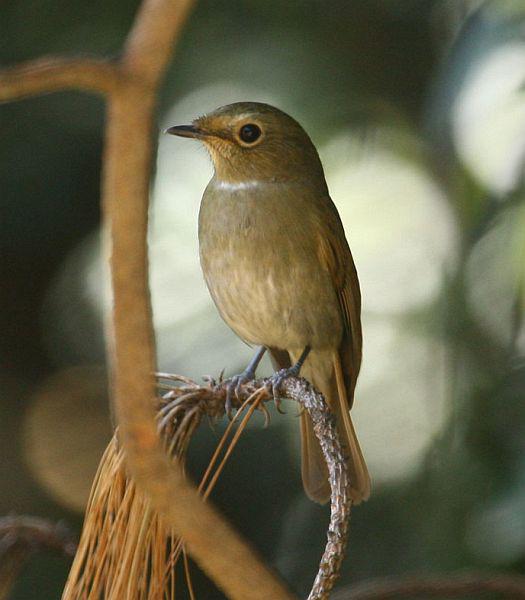 �ظ����l������