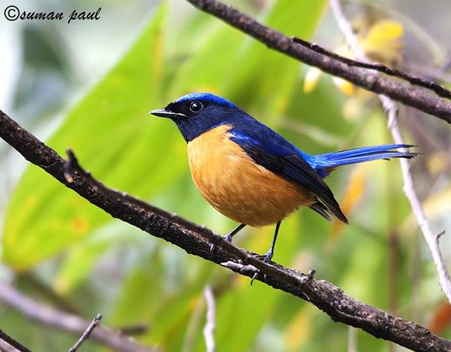 �ظ����l������