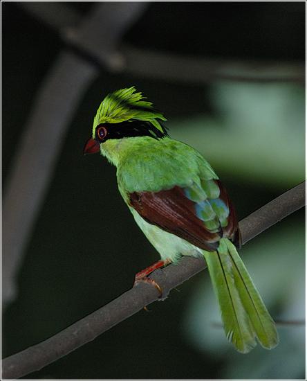 �������֣�צ����ȵ