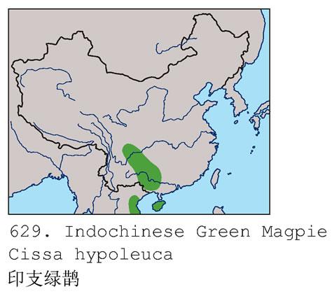 ӡ֧��ȵ�����ֲ�ͼ