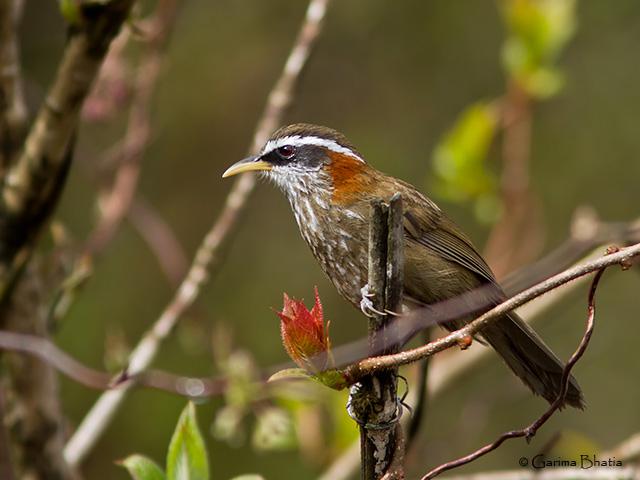 �ؾ������̵�ͼƬ