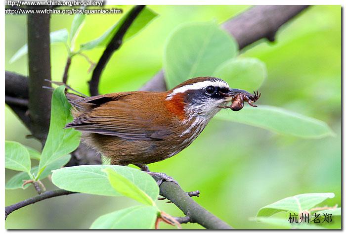 �ؾ������̣������㽭����