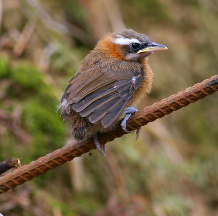 �ؾ������̣�����