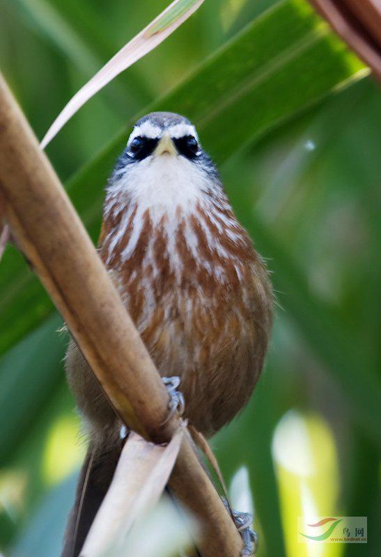 �ؾ������̣���������