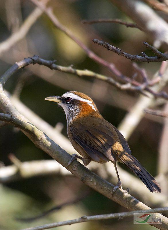 �ؾ������̣���������