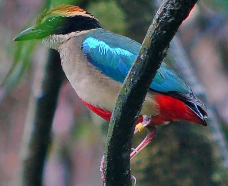 �ɰ�ɫ��ͼƬ