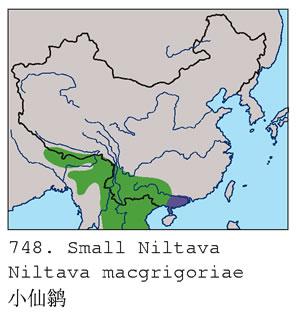 С���l�����ֲ�ͼ