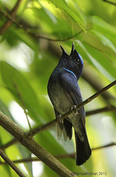 С���l������