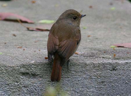 С���l������