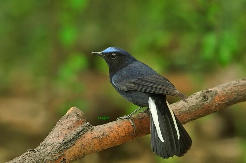 ��β������ͼƬ