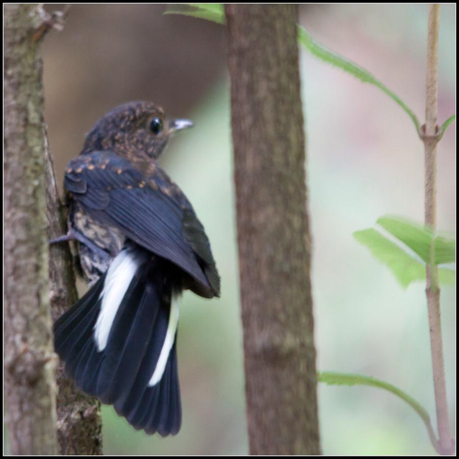 ��β����𶣺�ǳ���