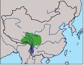 �����ȸ�ֲ�ͼ