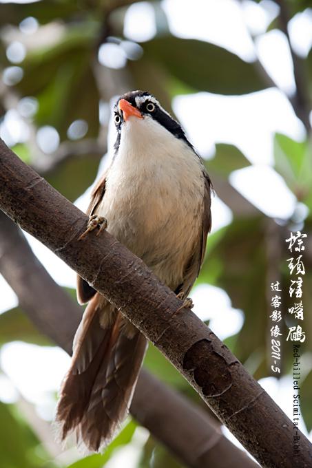 ��ͷ�����̣���Ӱ����