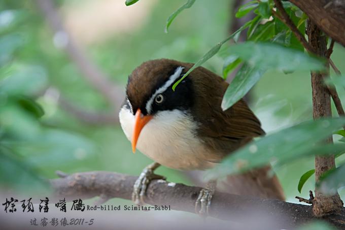 ��ͷ�����̣���Ӱ����