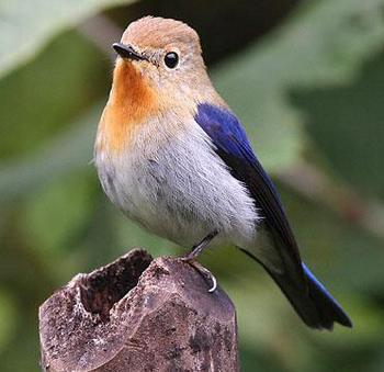 ��ͷ���l��ͼƬ