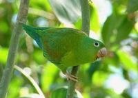 ���������и�