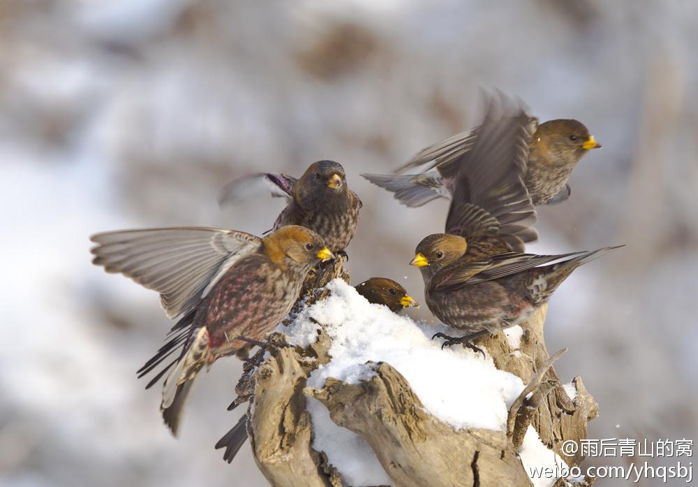 �ۺ츹��ȸ������@�����ɽ����