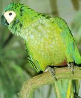 С���������