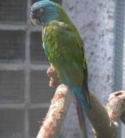 С���������