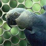 С���������