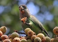 ��ͷ����