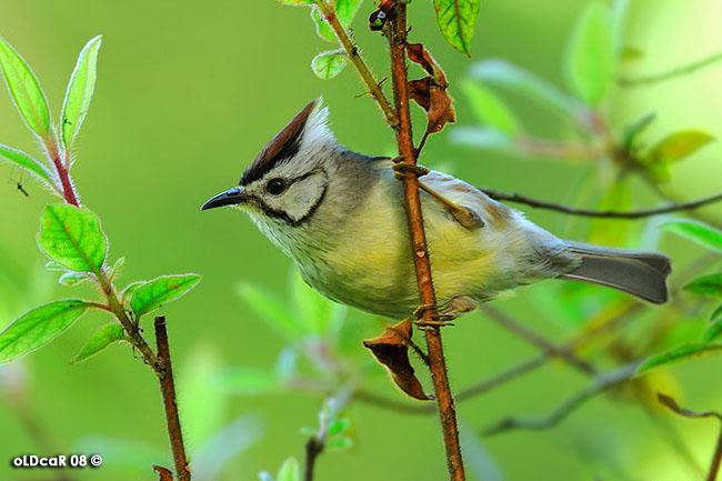 ��ͷ���̵�ͼƬ