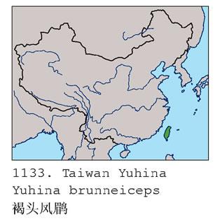 ��ͷ����