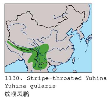 �ƺ�����