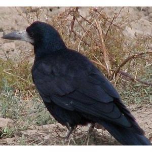 ͺ����ѻ��ͼƬ