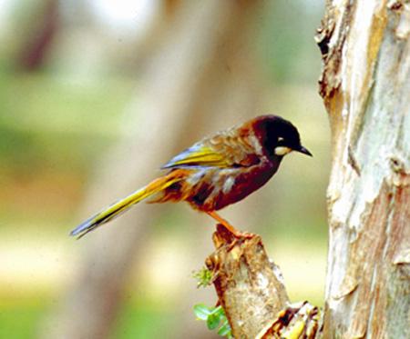 �ڶ�����