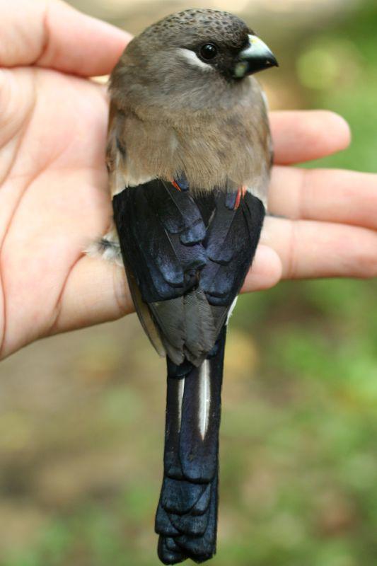 �ֻ�ȸ��ͼƬ