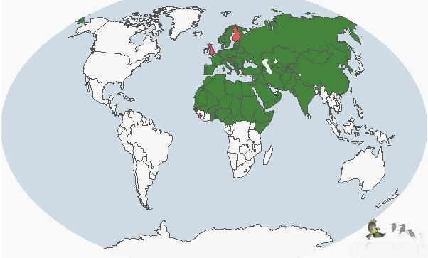 ��ͷ����