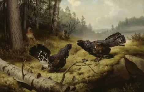 �����ɼ�