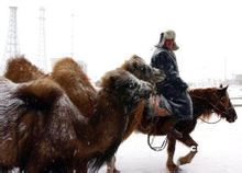 ����̩����