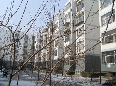 �����Žֵ�