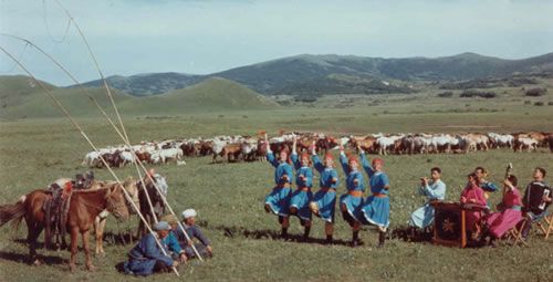 �����ɹ���������