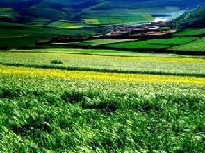 �����ط��