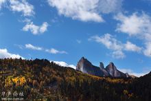 �����ػ���