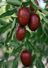 ��Ǽ���ز�����¥������