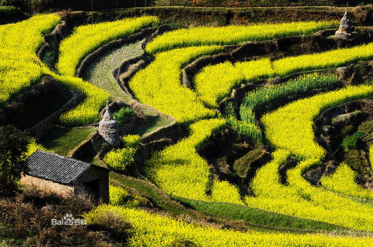 ��Դ����