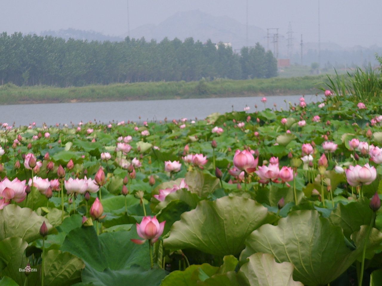 ����Ϣ��