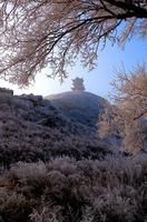 ����ɽ��