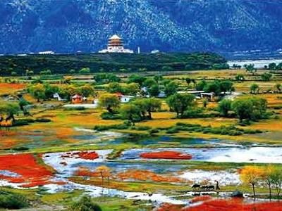 ��֥����