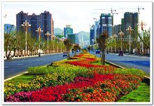 ��԰����