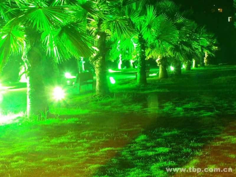 张家界市 张家界市