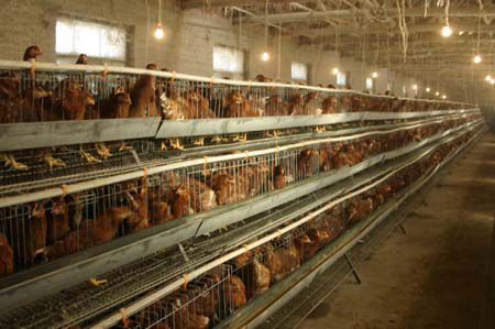 С������