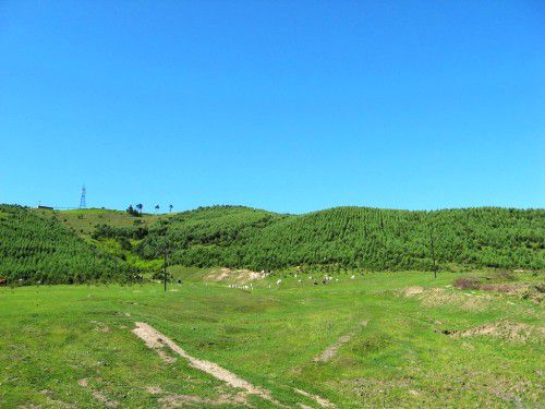 һ������