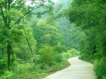 白水县方山森林公园 白水县方山森林公园