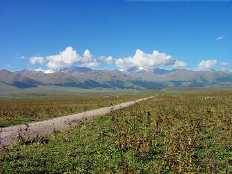 ��ɽ����