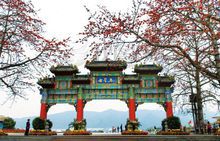 �������Ʒ�